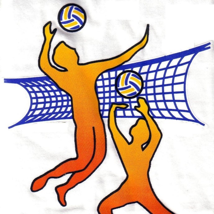 Турнир по волейболу среди мужских и юношеских команд,  посвященный Дню Защитника Отечества «ZА МИР»